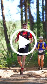 BIB:  <button type="button" onclick="openModal(26787642)" class="btn btn-primary btn-sm float-right" data-toggle="modal" data-target=".modal-high-quality">
                <i class="fa fa-download"></i> Download
                </button>